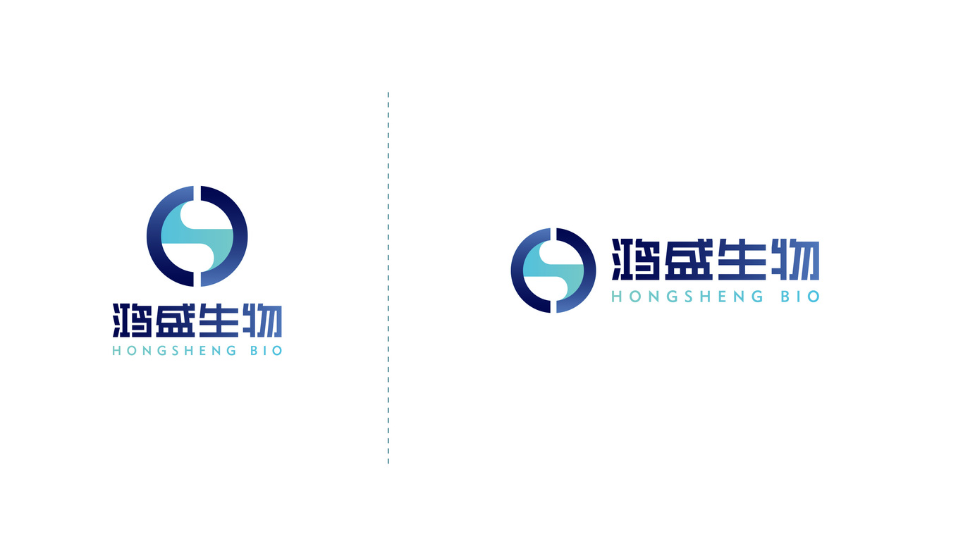 鸿盛生物公司LOGO设计中标图2