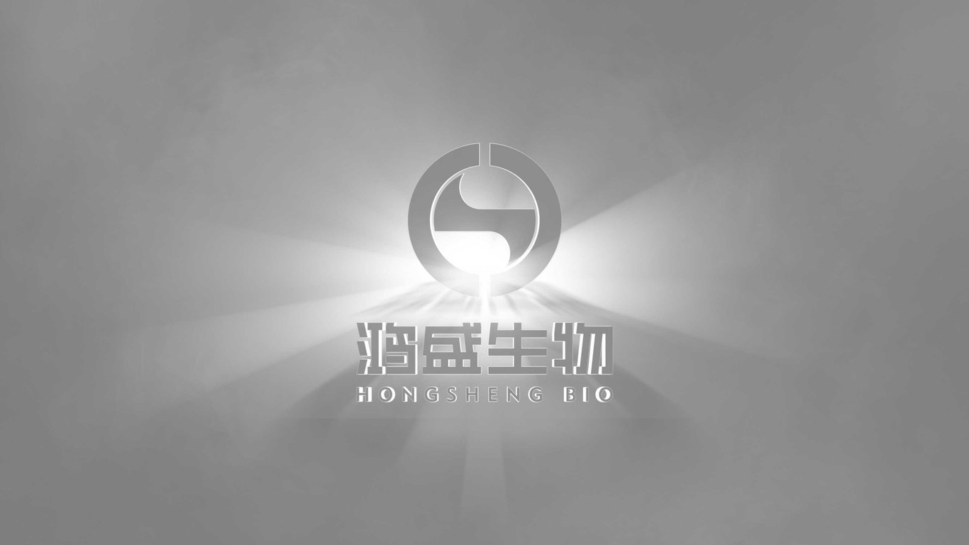 鸿盛生物公司LOGO设计中标图7