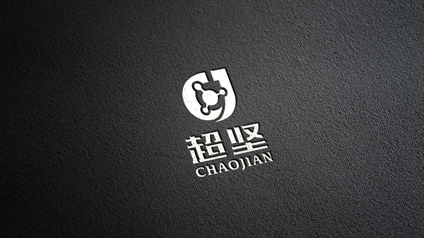 超坚医疗器械公司LOGO设计中标图9