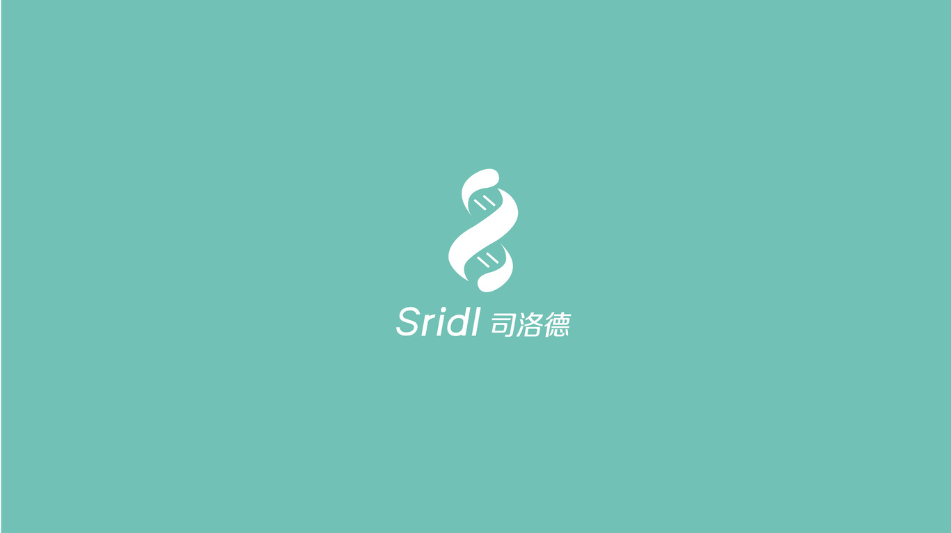司洛德圖2