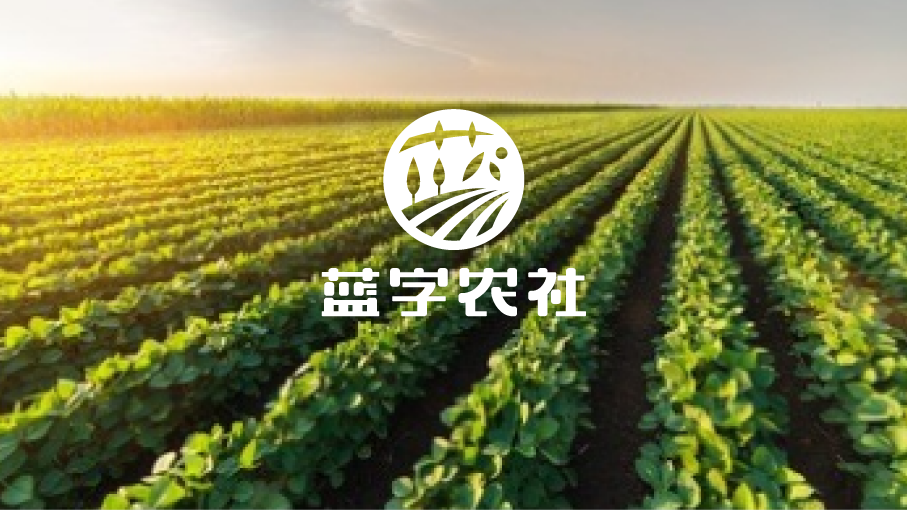 蓝字农社品牌LOGO设计中标图0