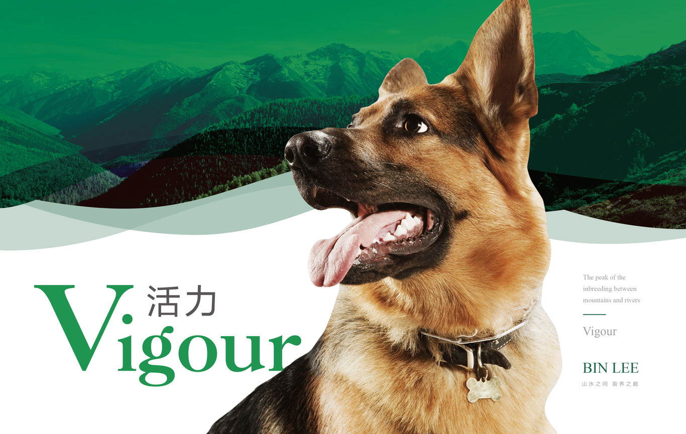 彬利犬糧logo包裝設計圖1