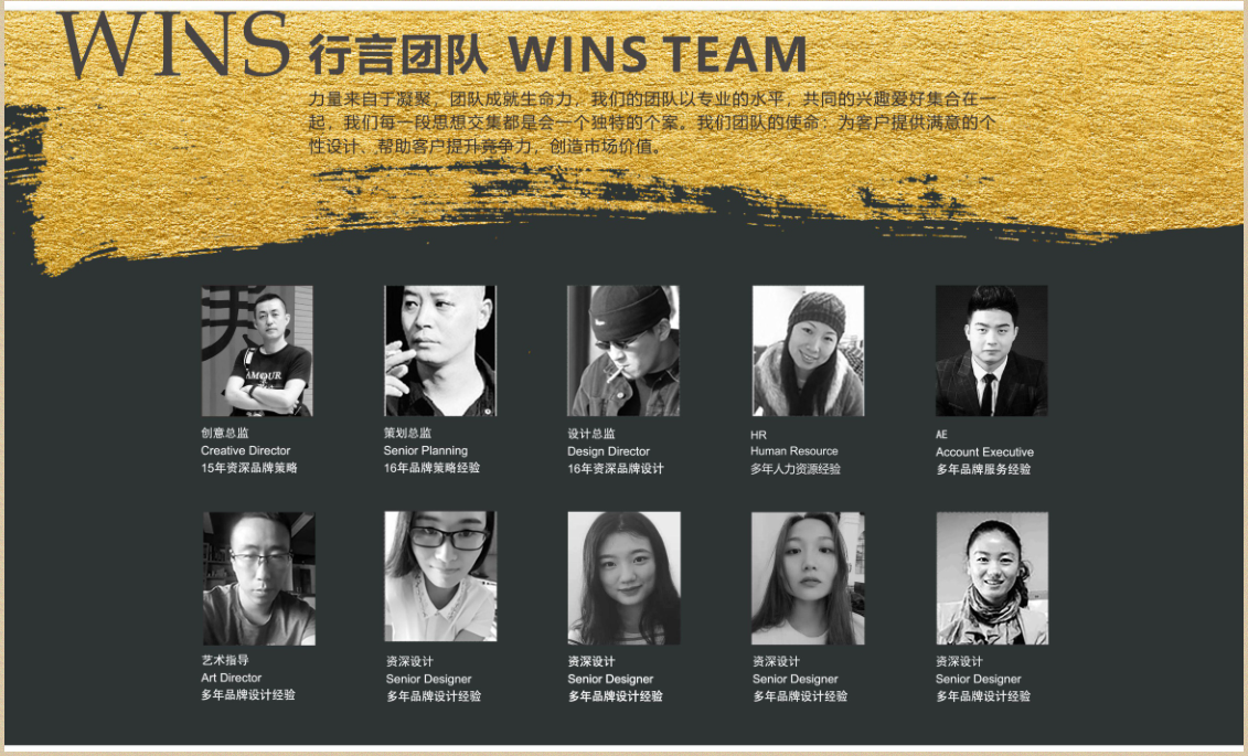 公司案例及介绍图1