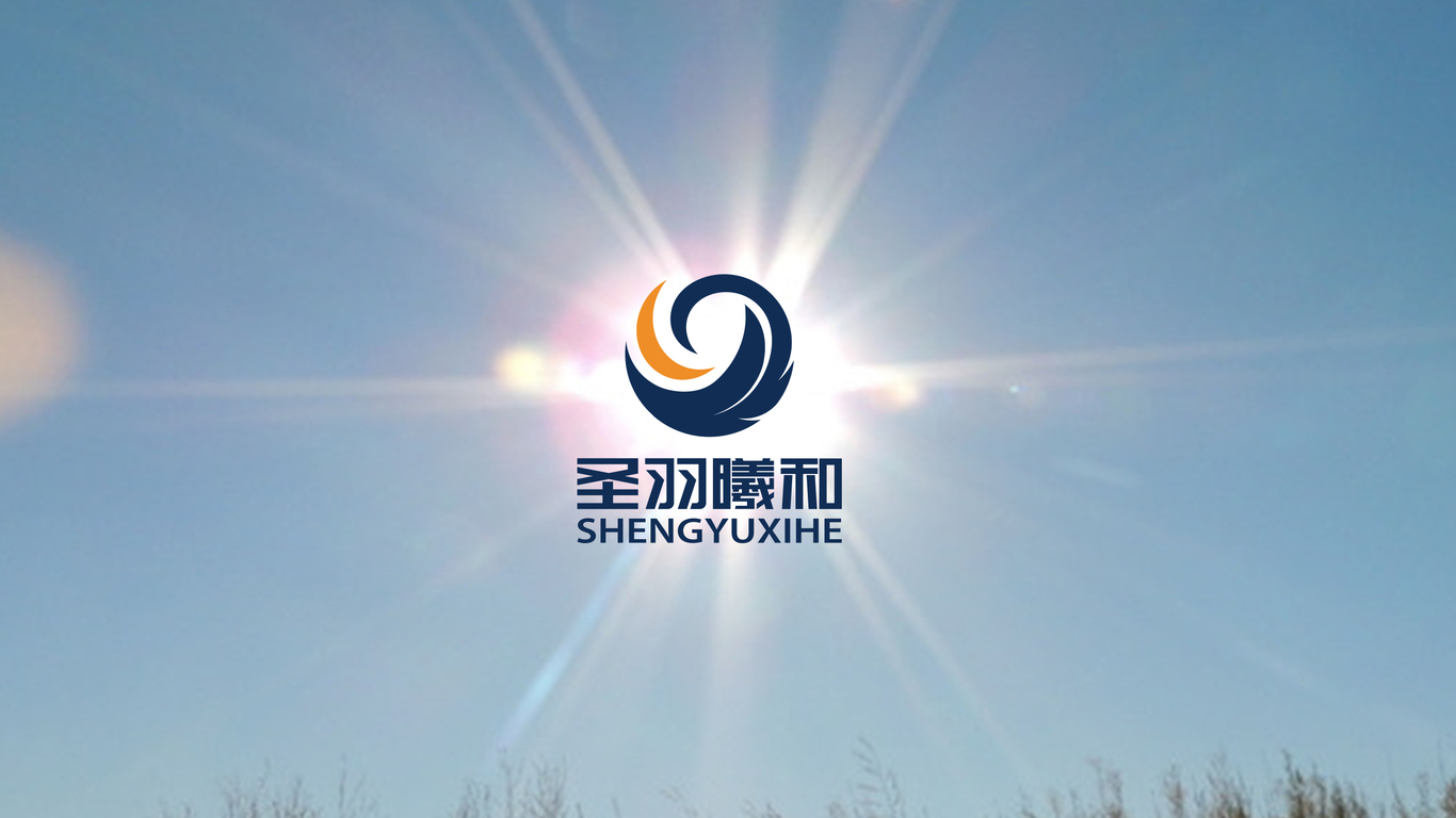 圣羽曦和電子品牌LOGO設(shè)計(jì)中標(biāo)圖5