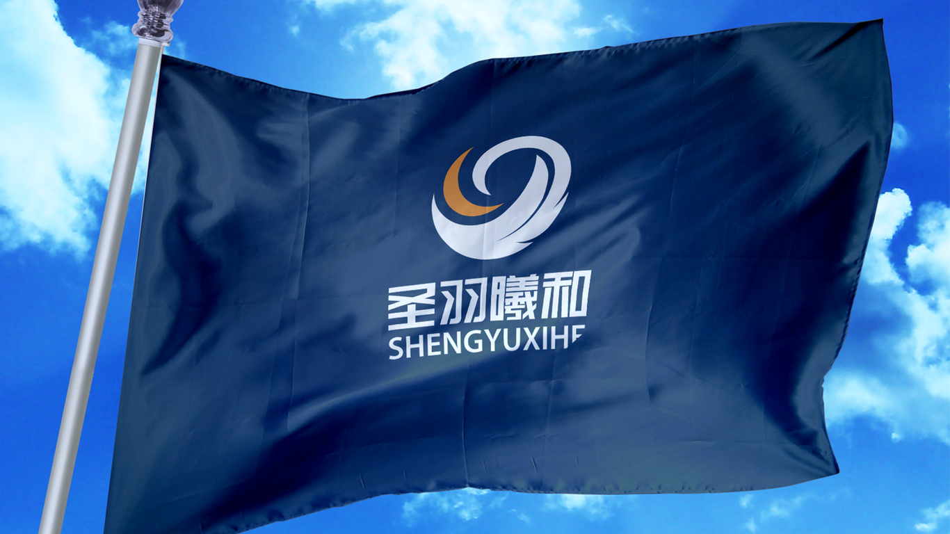 圣羽曦和電子品牌LOGO設(shè)計(jì)中標(biāo)圖10