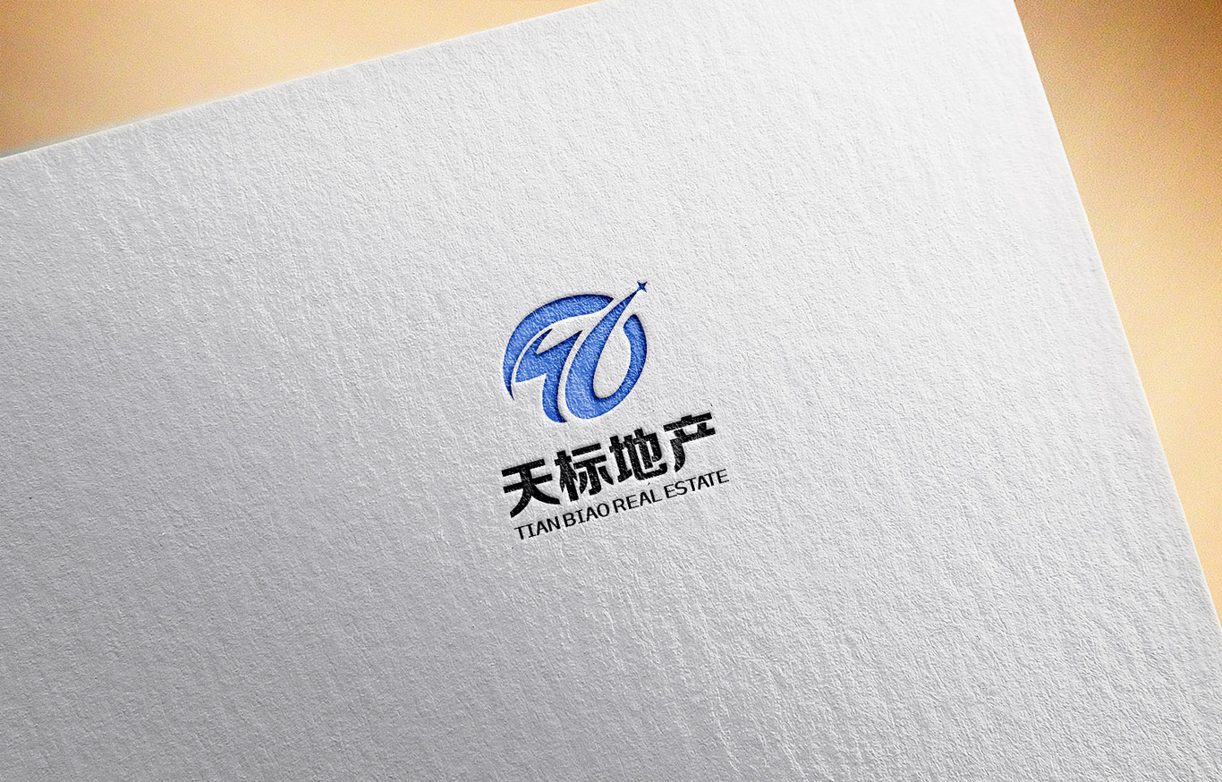 天标地产企业LOGO设计图2