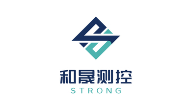 和晟測控公司LOGO設計