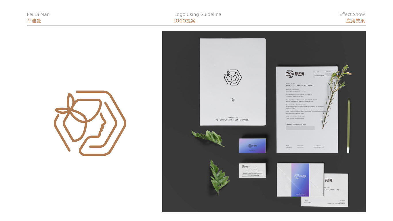 菲迪曼醫(yī)療品牌LOGO設(shè)計中標圖6
