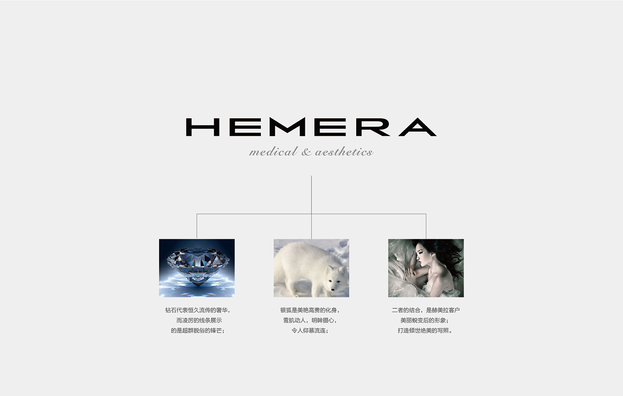 Hemera美容機構(gòu)品牌設計圖2