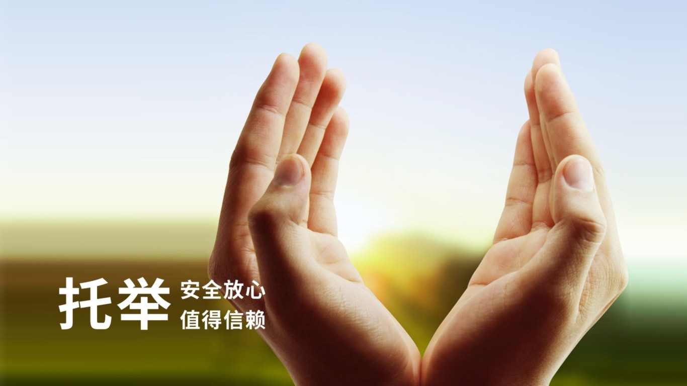 天祥裝飾公司LOGO設(shè)計(jì)中標(biāo)圖3