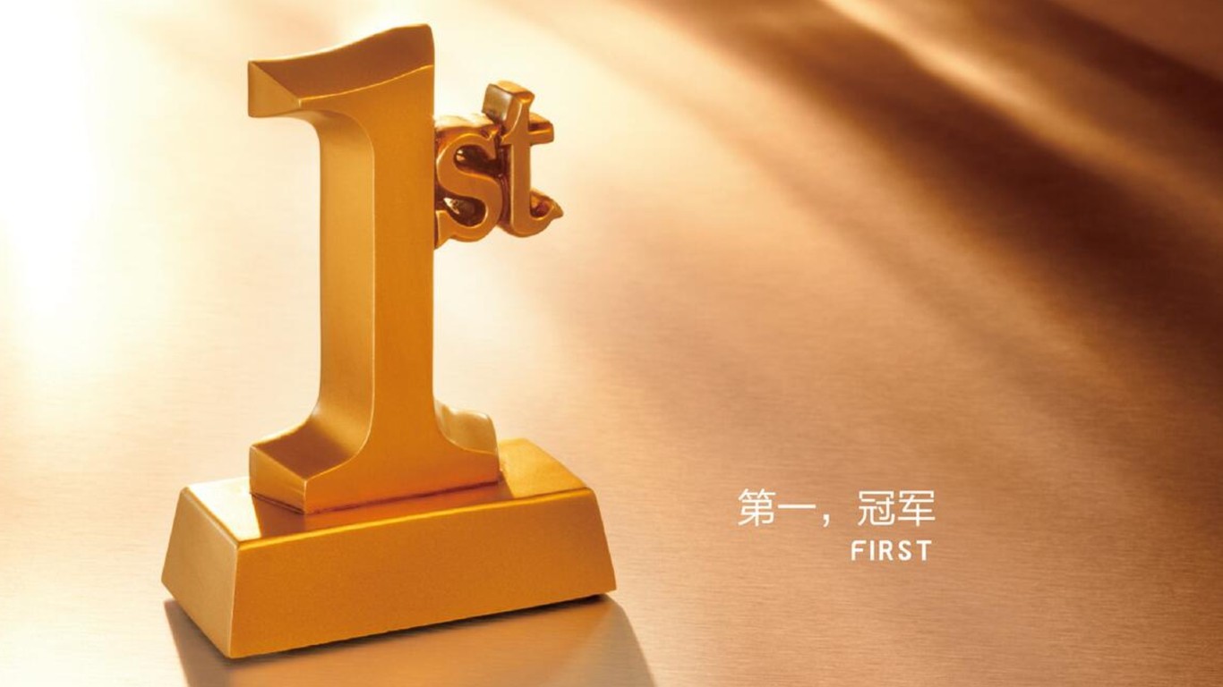 天祥裝飾公司LOGO設(shè)計(jì)中標(biāo)圖2