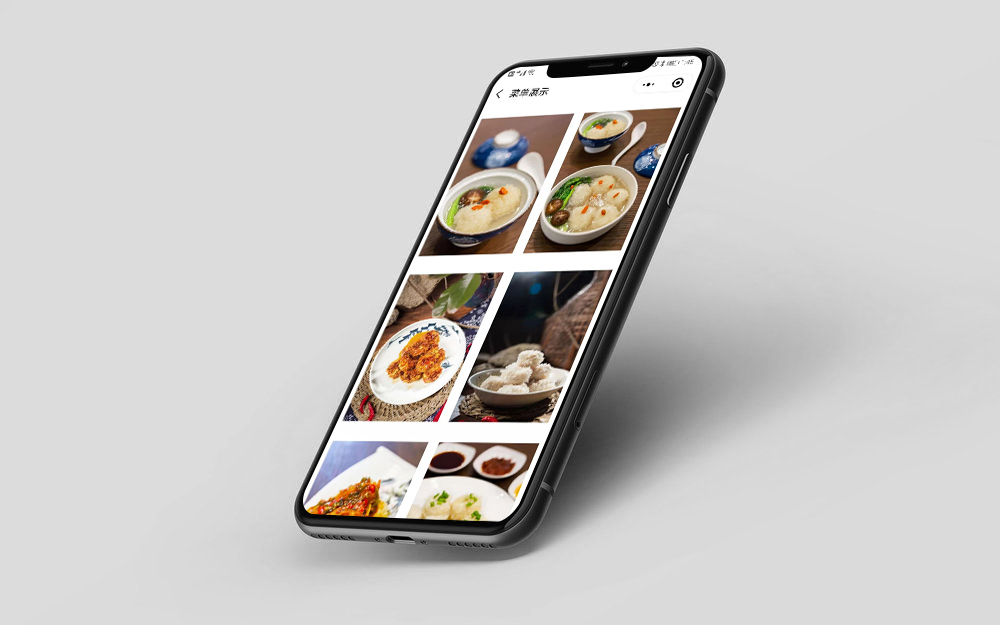 杭州千岛膳食品科技公司logo设计图2