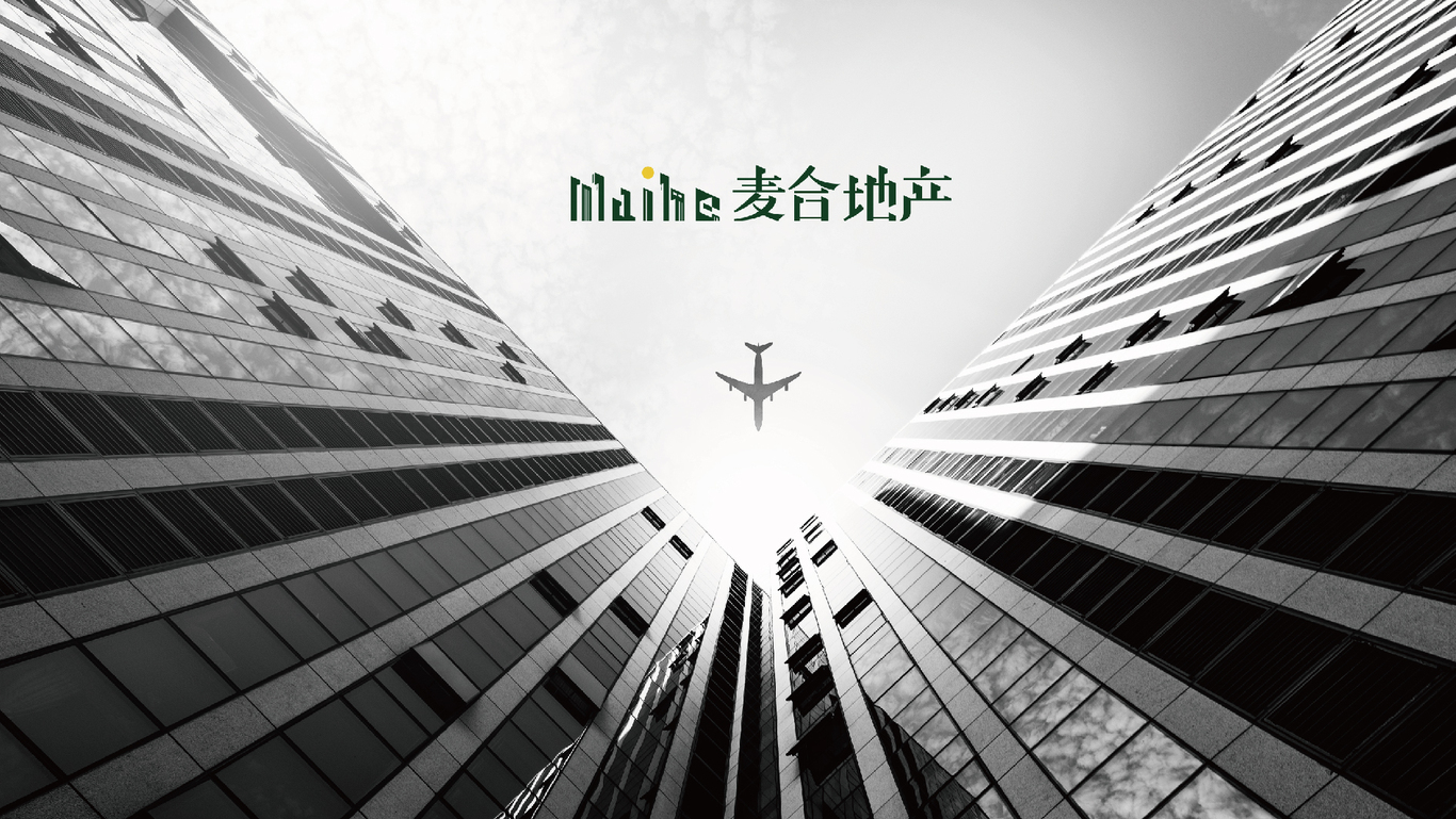 麦合地产图4