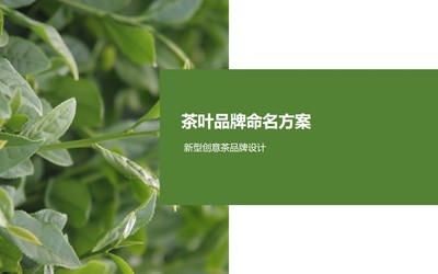 茶葉品牌命名方案