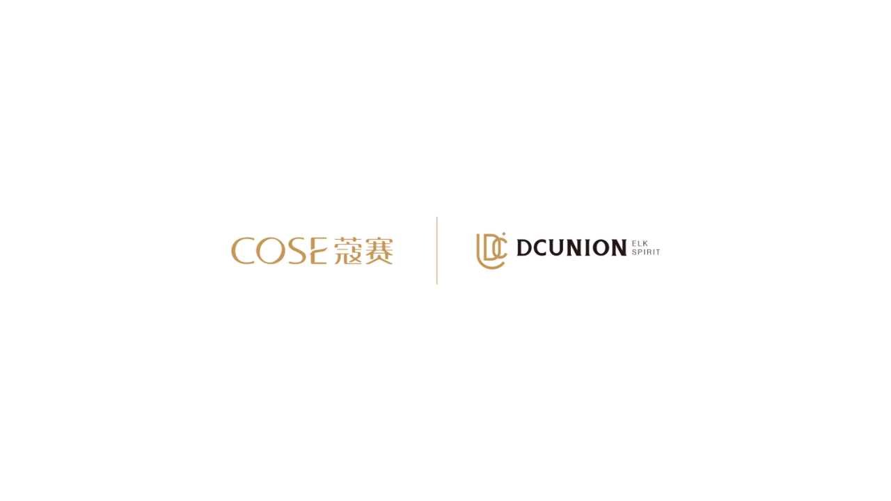 cose蔻賽DC聯(lián)盟LOGO+VI設(shè)計圖0