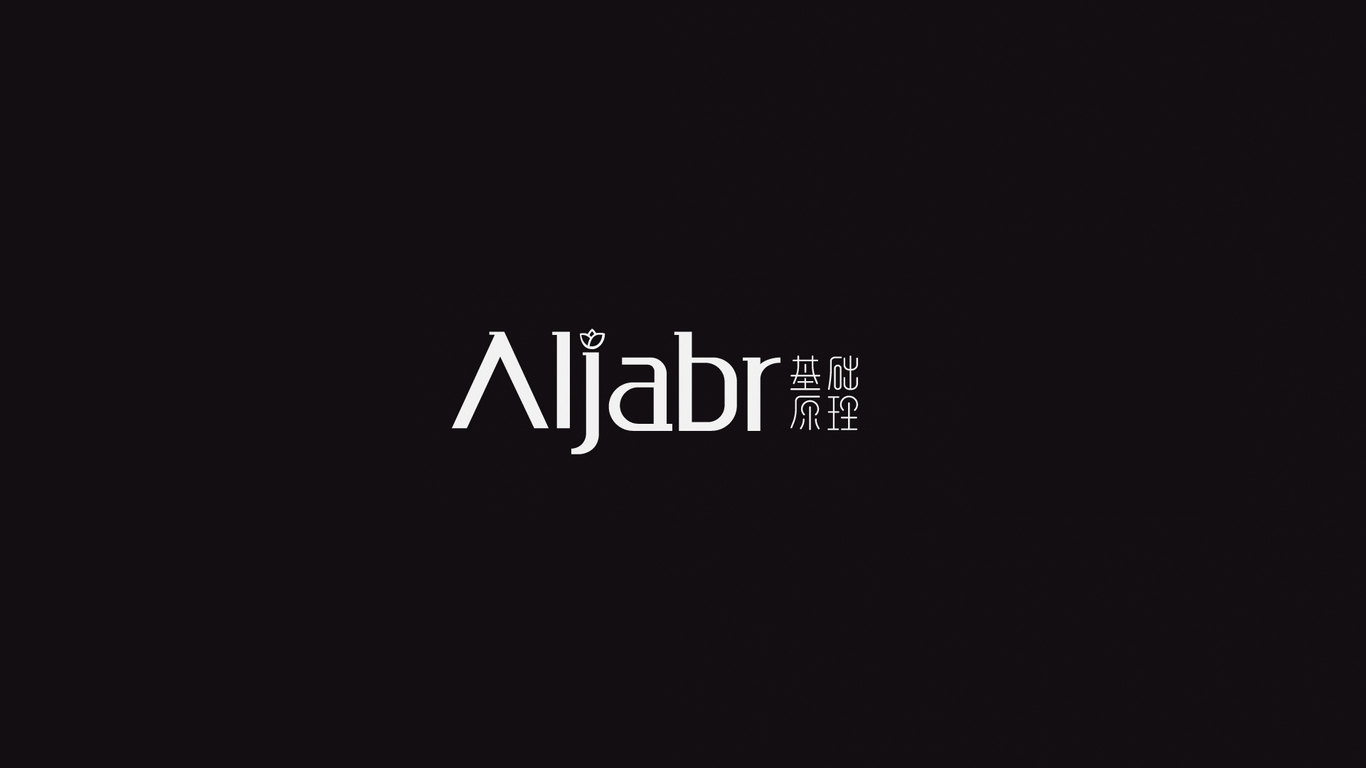 Aljabr基礎(chǔ)原理圖3