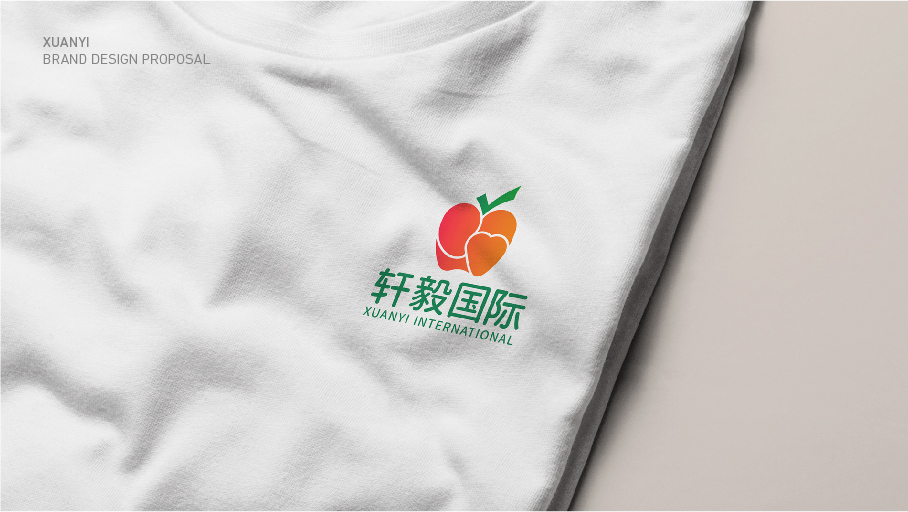 轩毅国际水果销售品牌LOGO设计中标图5