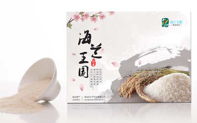 海蘭王國(guó) 食品行業(yè) 大米包裝設(shè)...