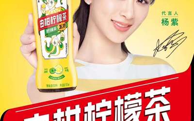 東鵬油柑檸檬茶海報設計