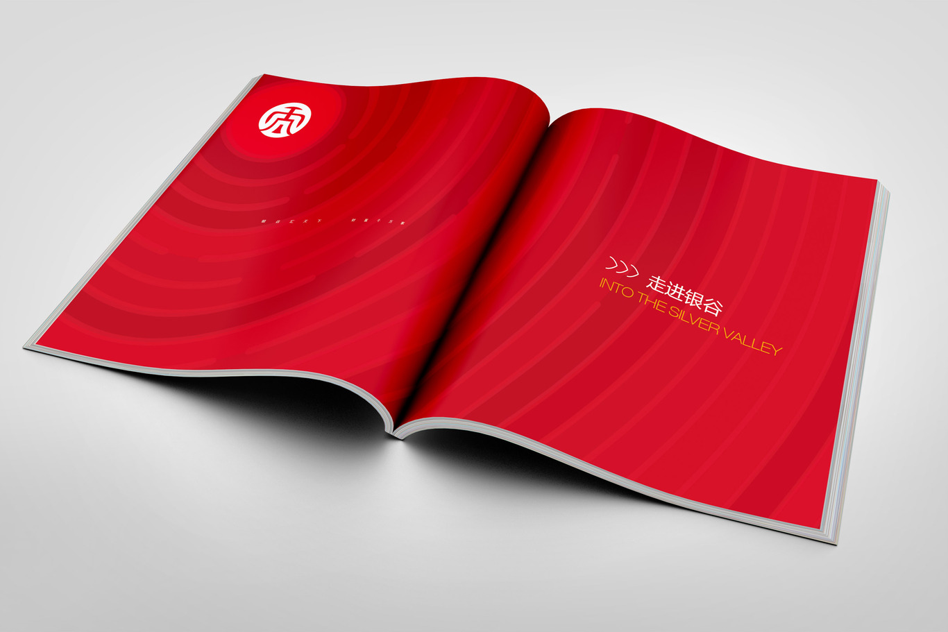 東方銀谷互聯(lián)網(wǎng)金融畫(huà)冊設計圖4
