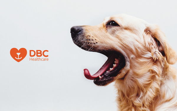 DBC Healthcare