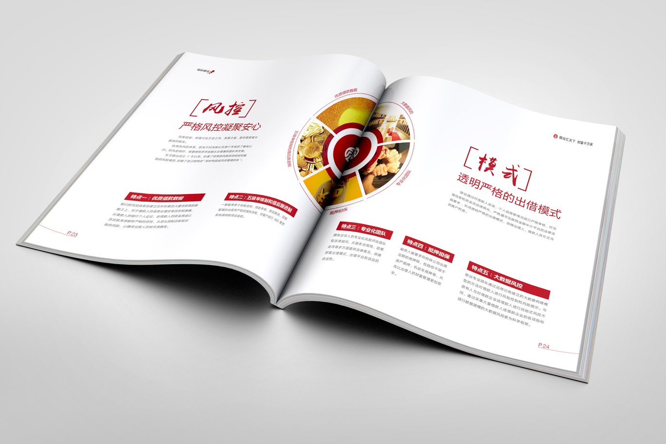 東方銀谷互聯(lián)網(wǎng)金融畫(huà)冊設計圖14