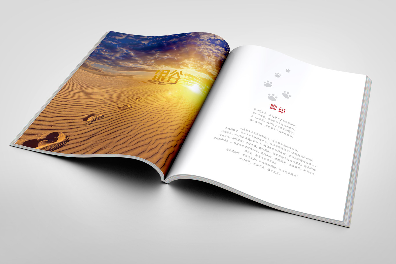 東方銀谷互聯(lián)網(wǎng)金融畫(huà)冊設計圖2