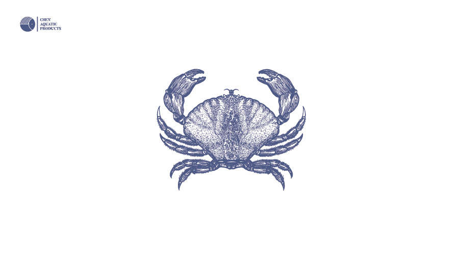 陈记水产LOGO+包装设计图1