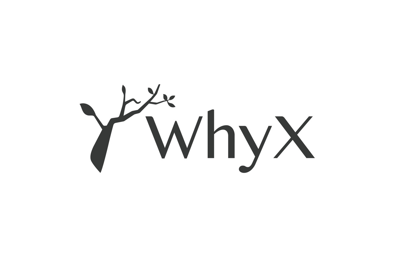 whxy X 珠寶圖1