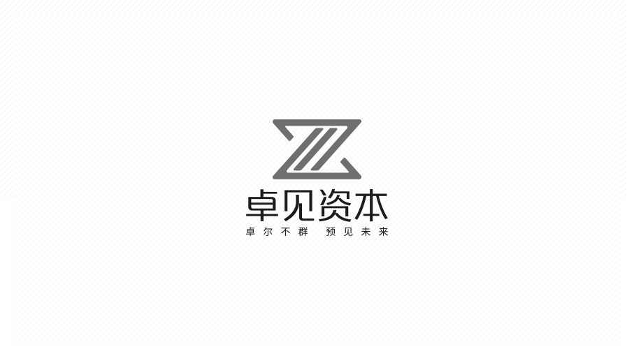 卓見資本  金融類logo設計圖4