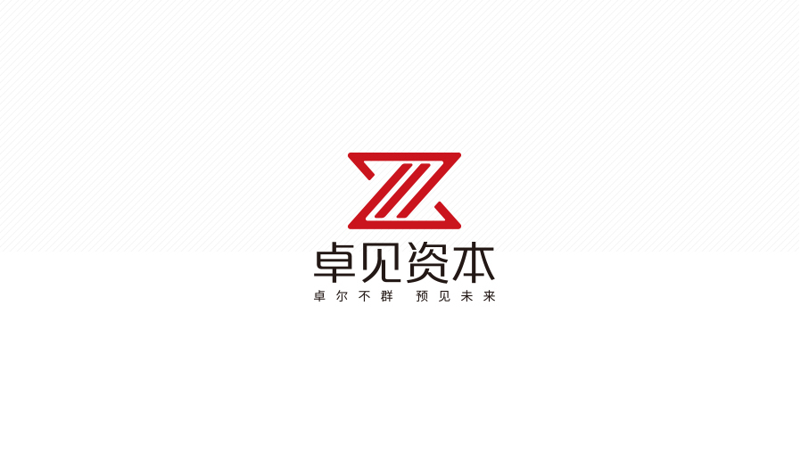 卓見資本  金融類logo設計圖2