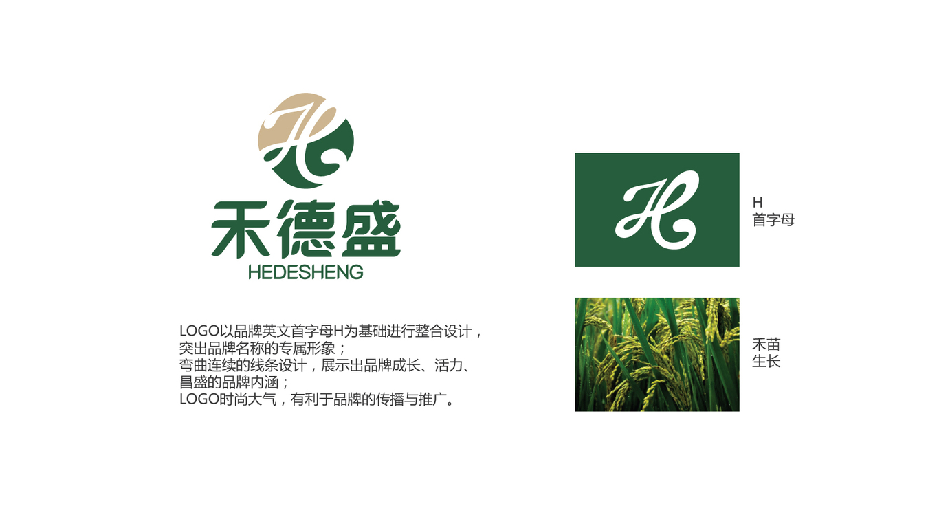 禾德盛貿(mào)易公司LOGO設(shè)計(jì)中標(biāo)圖1