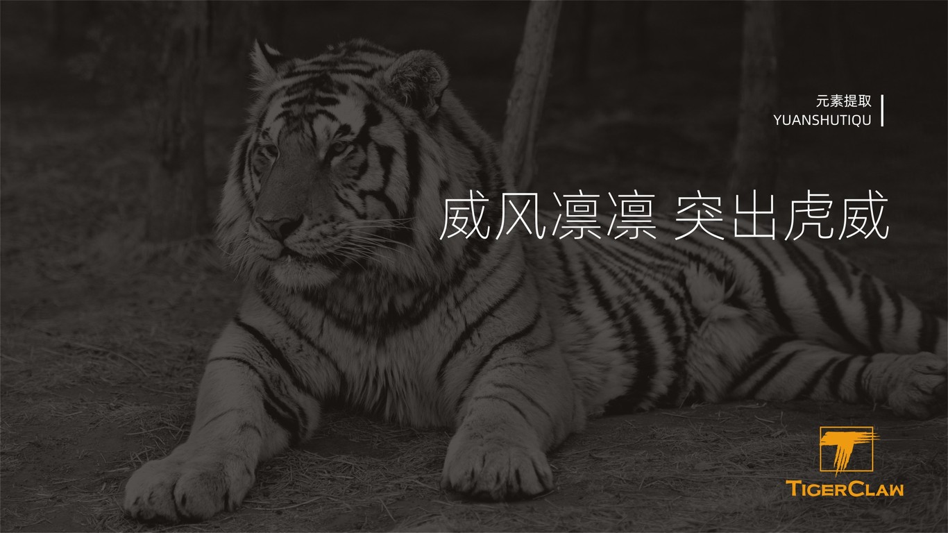 Tiger Claw高端寵物食品品牌LOGO設(shè)計(jì)中標(biāo)圖1