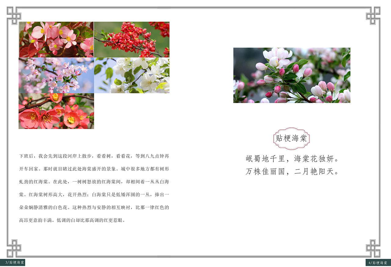 画册图3