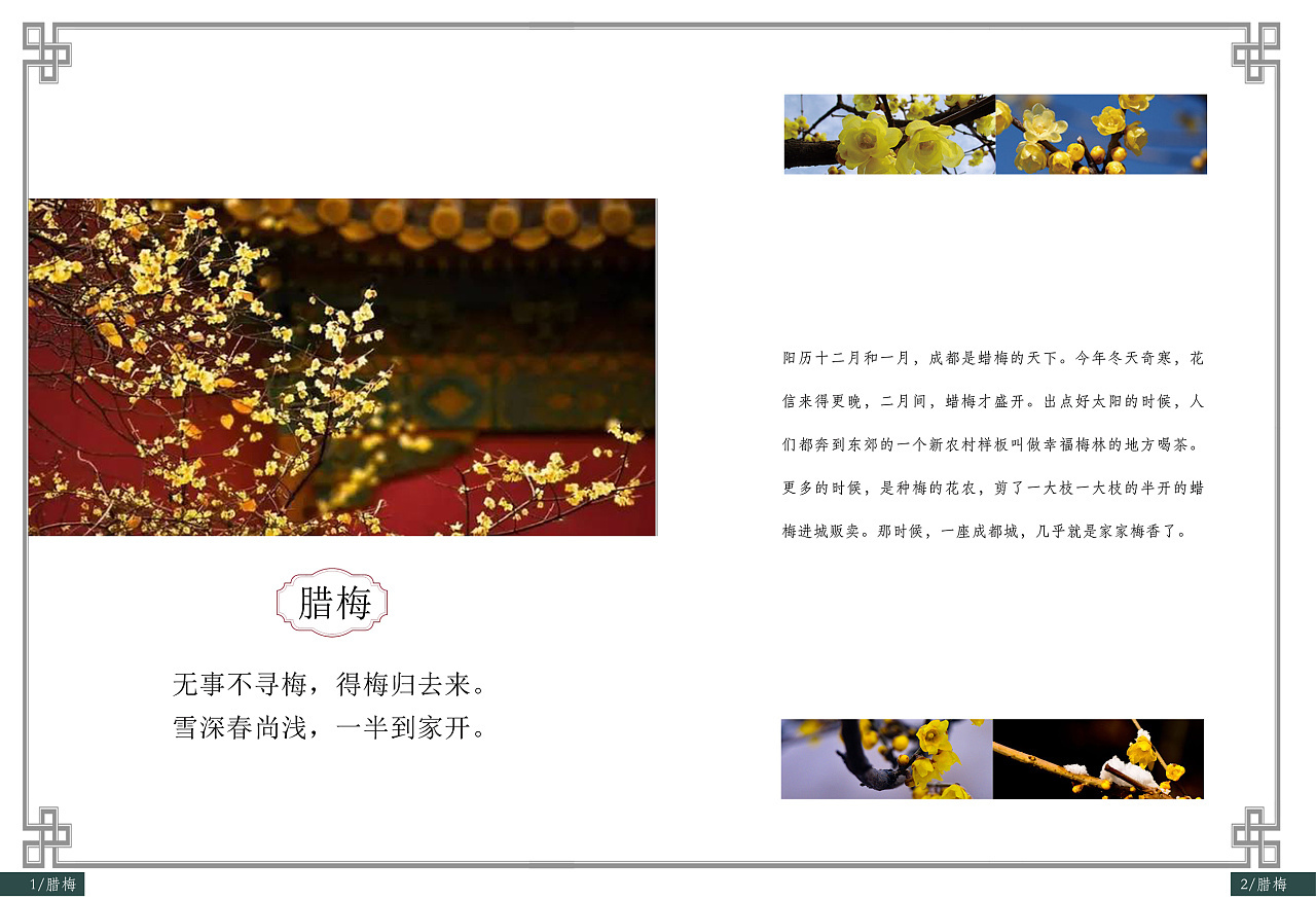 画册图2