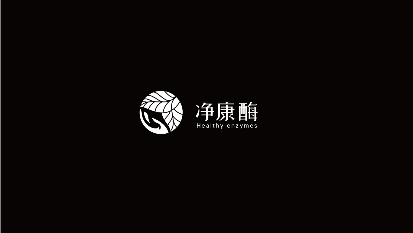 保健品行業(yè)LOGO 凈康酶圖2