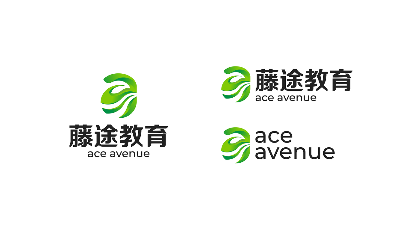 藤途教育LOGO设计图4