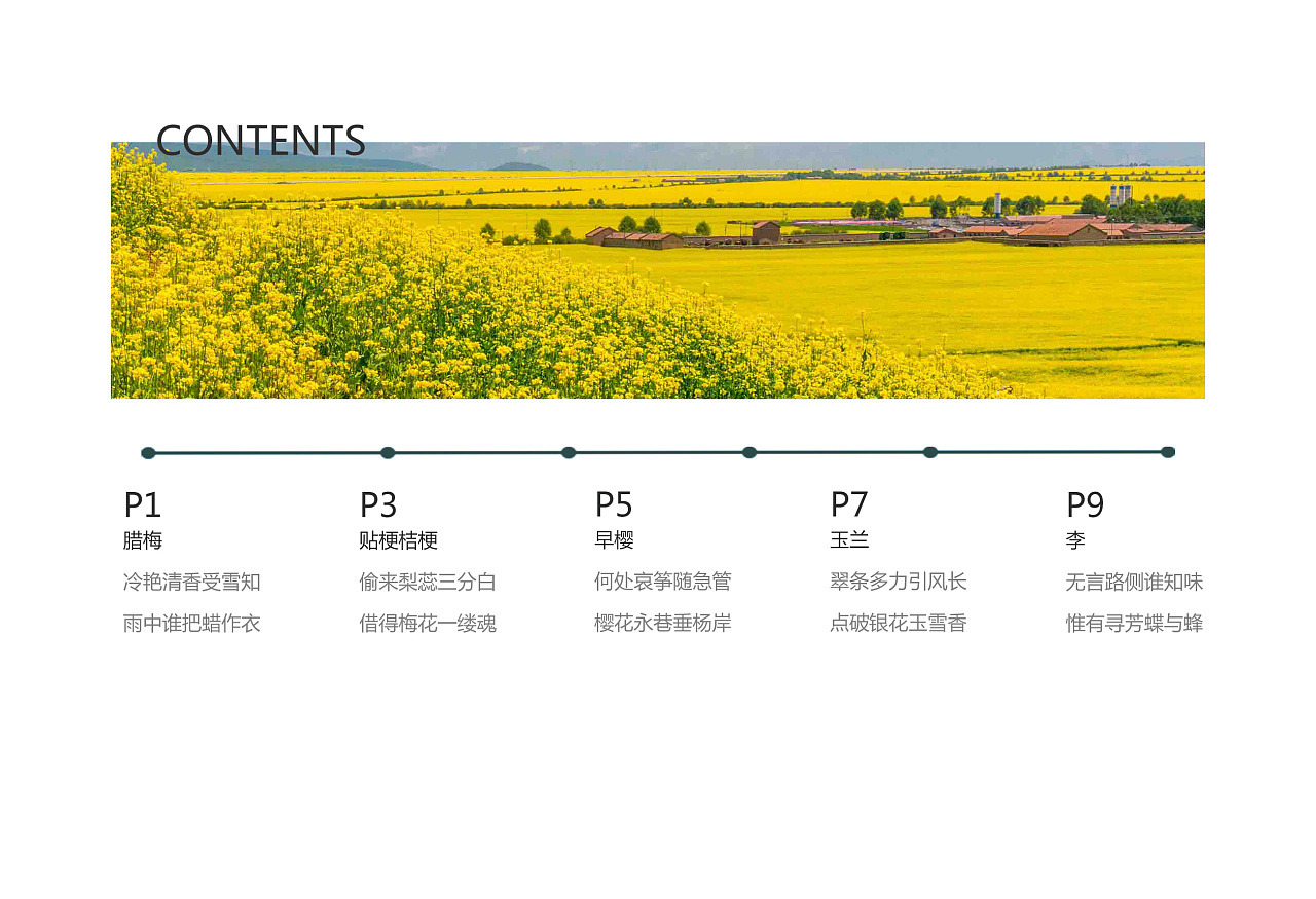 画册图1