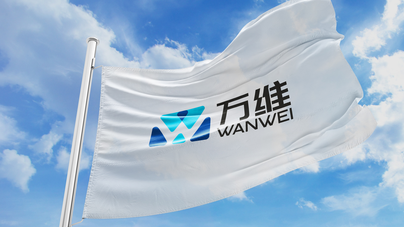 遼寧萬維網(wǎng)絡信息技術有限公司LOGO設計中標圖11