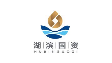 湖滨国资品牌LOGO设计