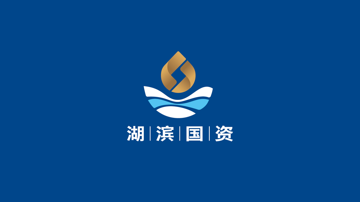 湖濱國資品牌LOGO設(shè)計中標圖0