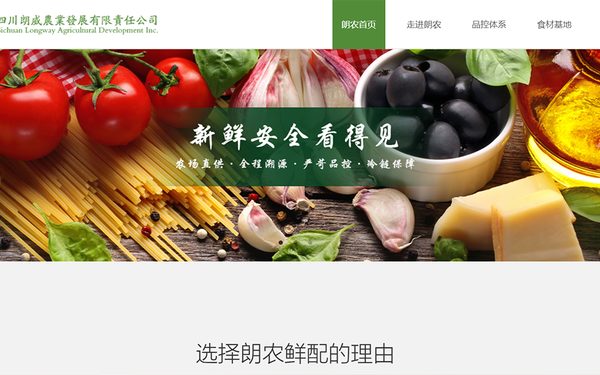 企业网站建设