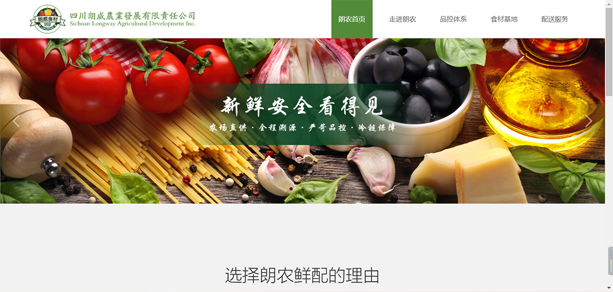 企业网站建设图0