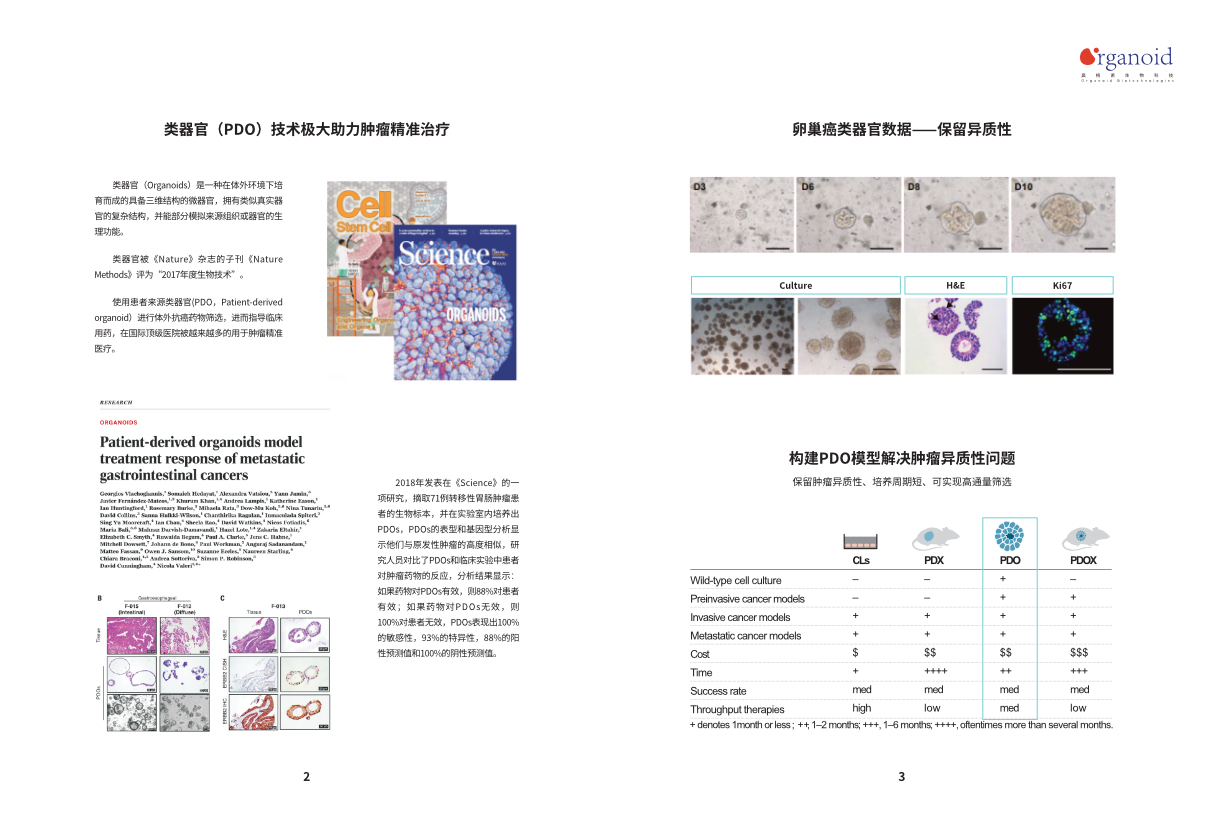 卵巢癌藥篩產(chǎn)品手冊圖2