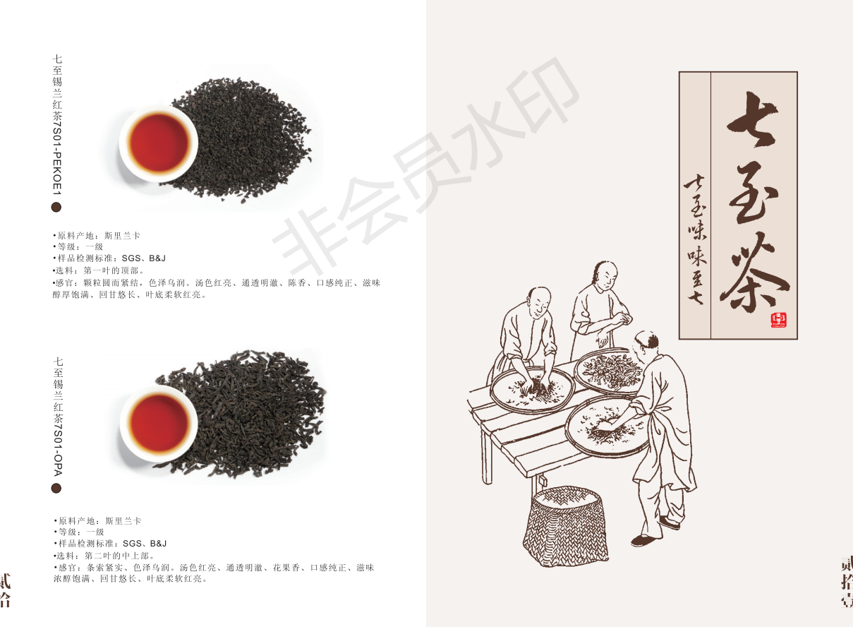 畫冊(cè)設(shè)計(jì)圖6