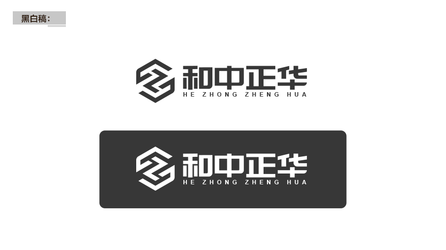 金融行業(yè)企業(yè)LOGO設計圖4