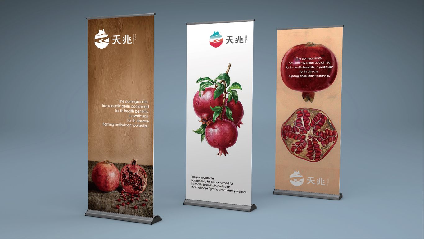 天兆石榴LOGO设计图2