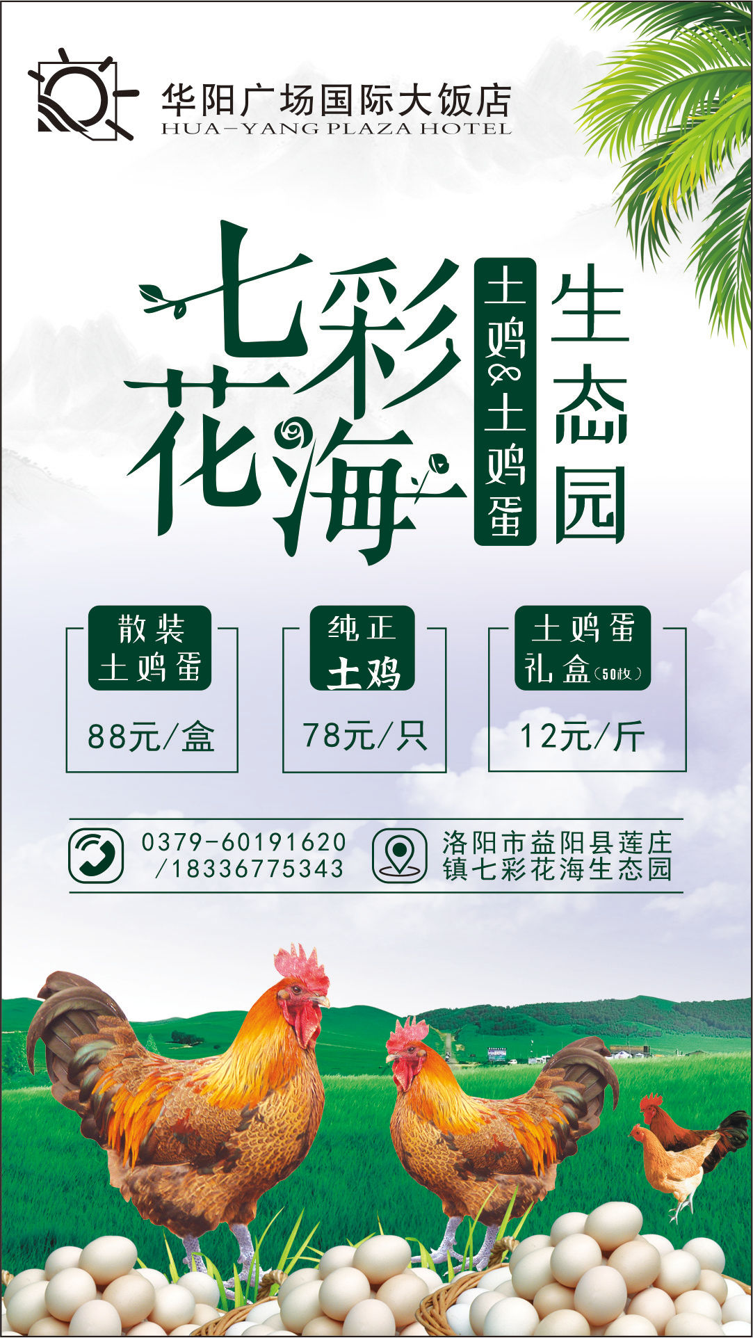 七彩花海生態(tài)園土雞土雞蛋海報設(shè)計(jì)圖3