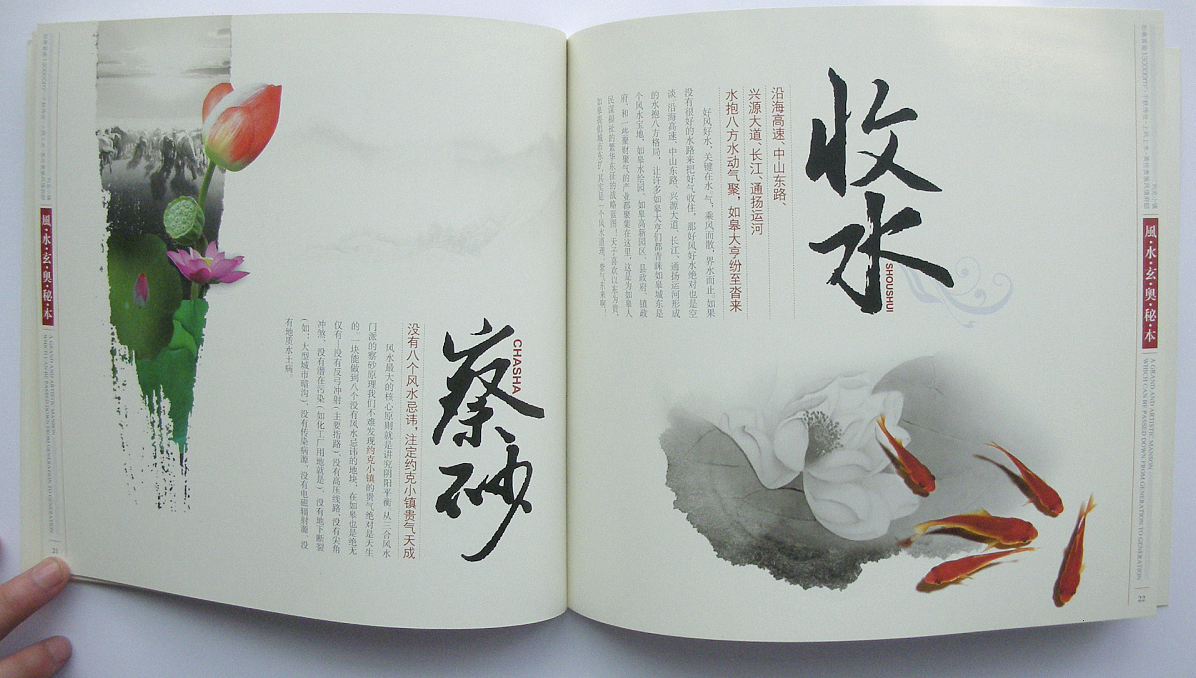 江苏南通“约克小镇”风水手册图5