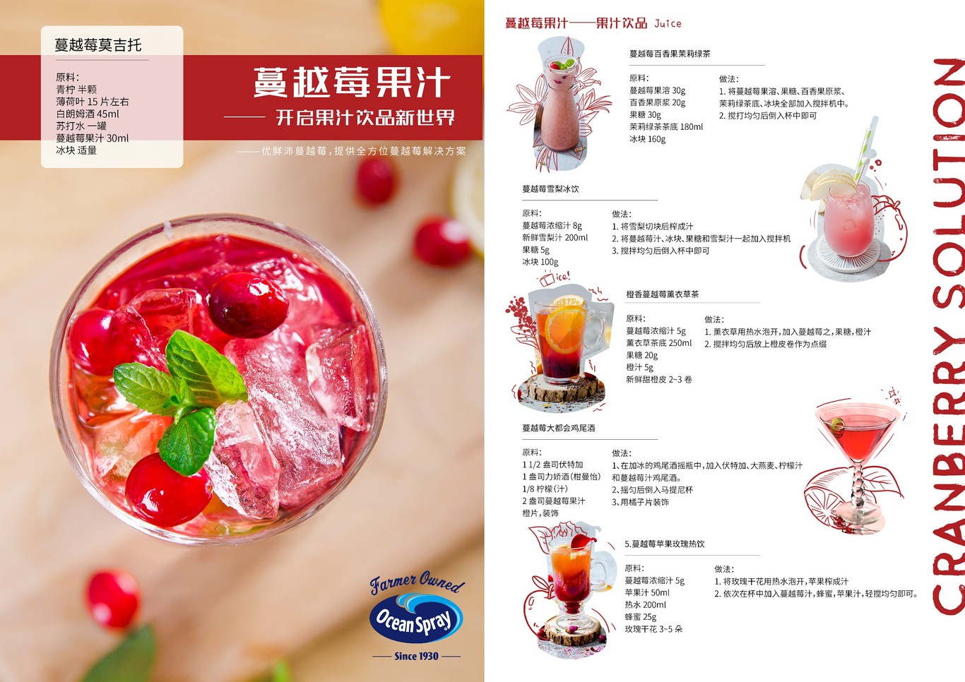 OceanSpray蔓越莓菜谱宣传折页图2